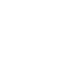 Born Robot Logo